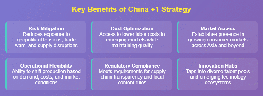 China +1 strategy